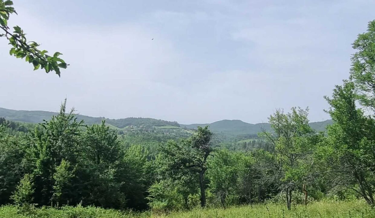 Gornje Vlakovo 3