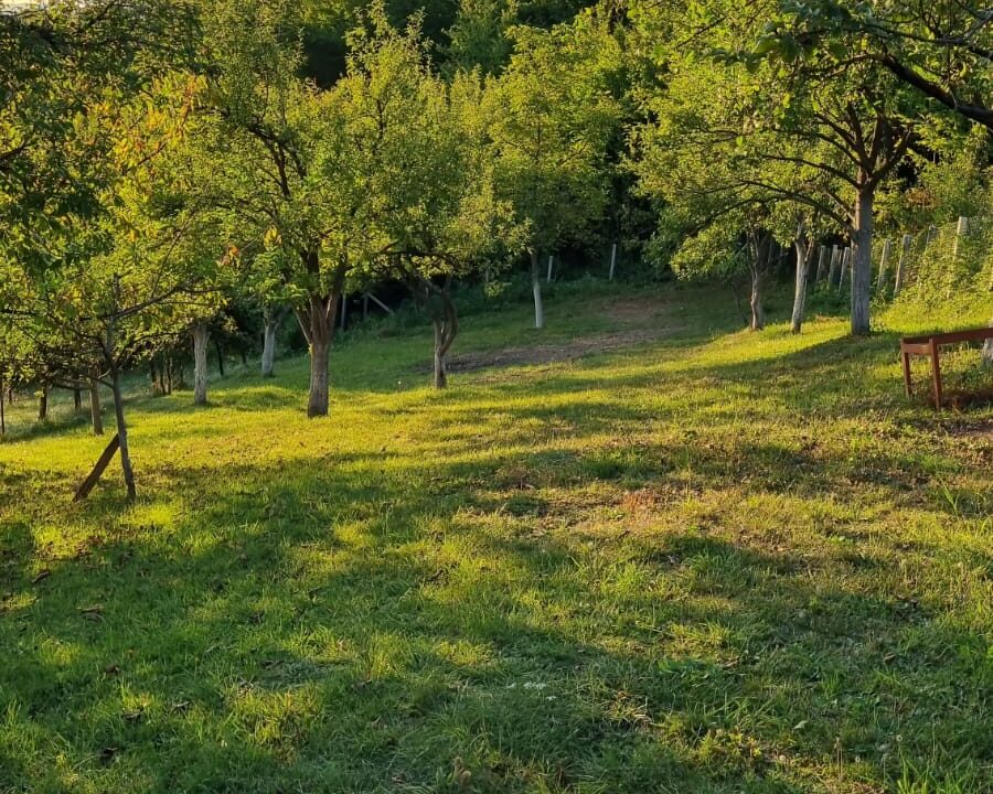 Ahatovići9