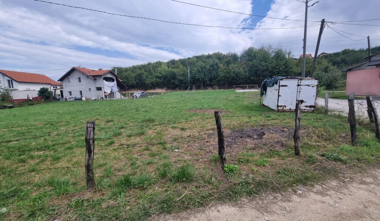 Gladno polje 6