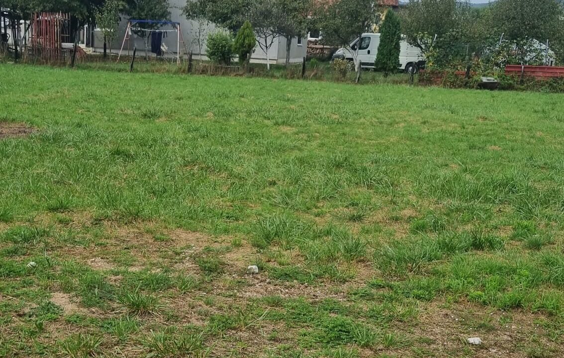 Gladno polje 8