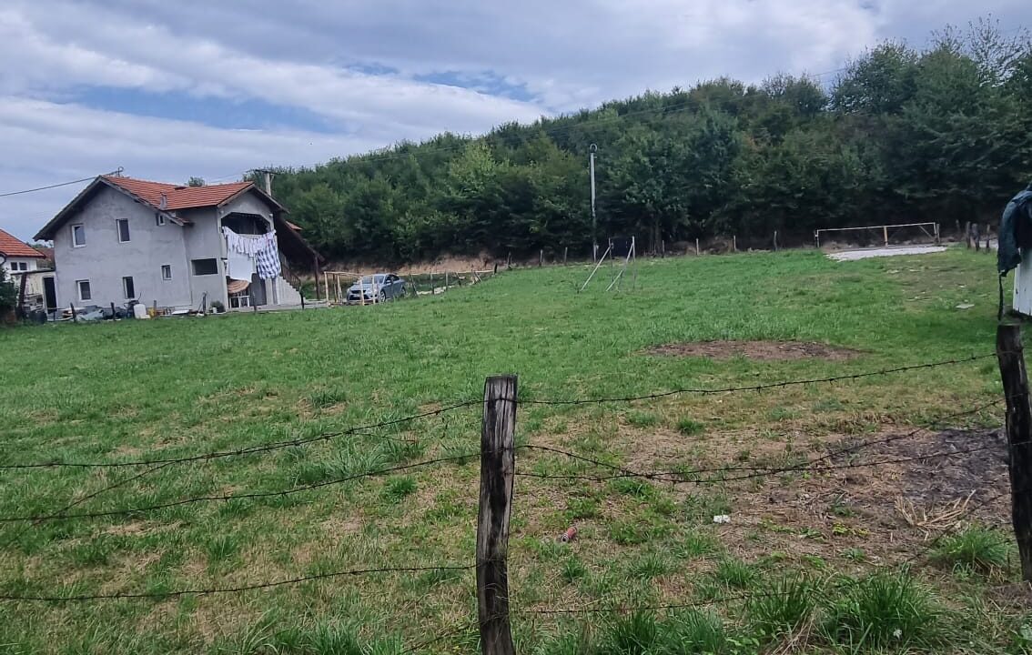 Gladno polje4